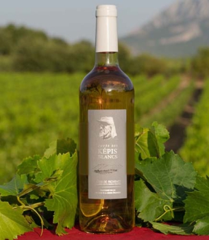 Wein "A.O.C." rosé 1 x 0,75 l